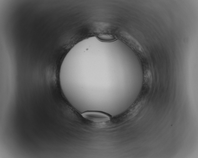 X0000102380566200808010916
