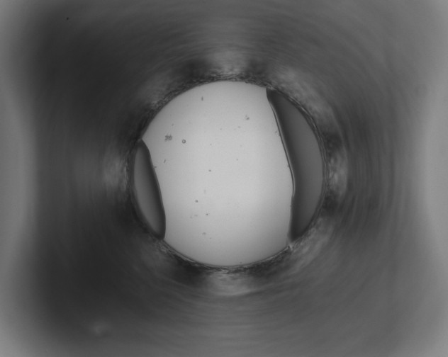 X0000102380568200808010916