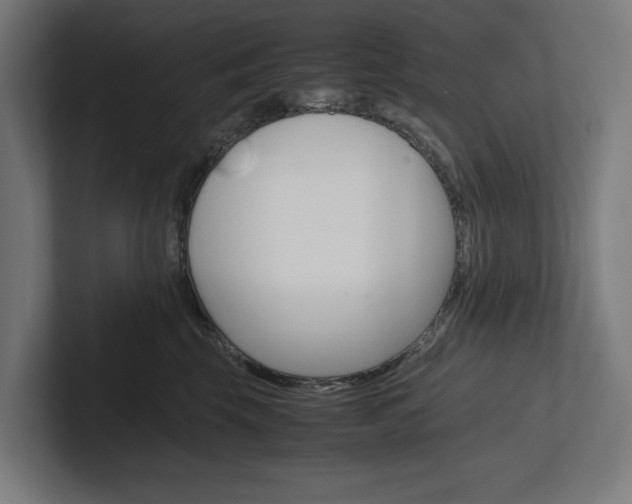 X0000102380569200808010916