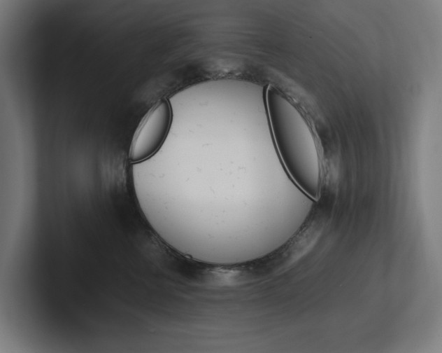 X0000102380570200808010917