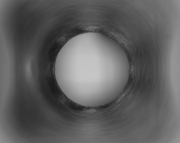 X0000102380572200808010917