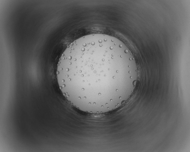 X0000102380573200808010917