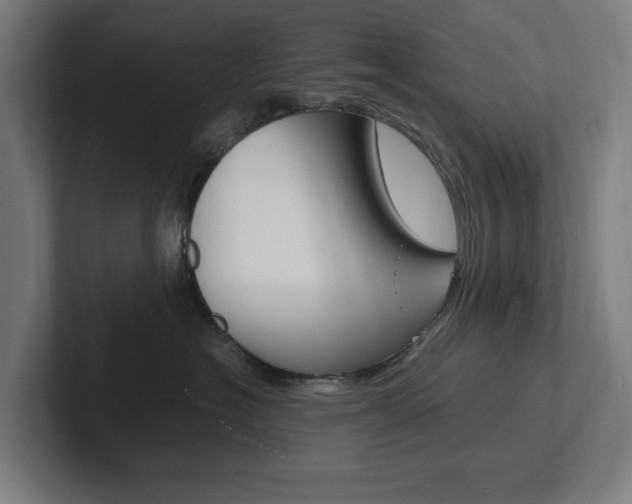 X0000102380574200808010917