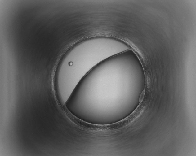 X0000102380581200808010916
