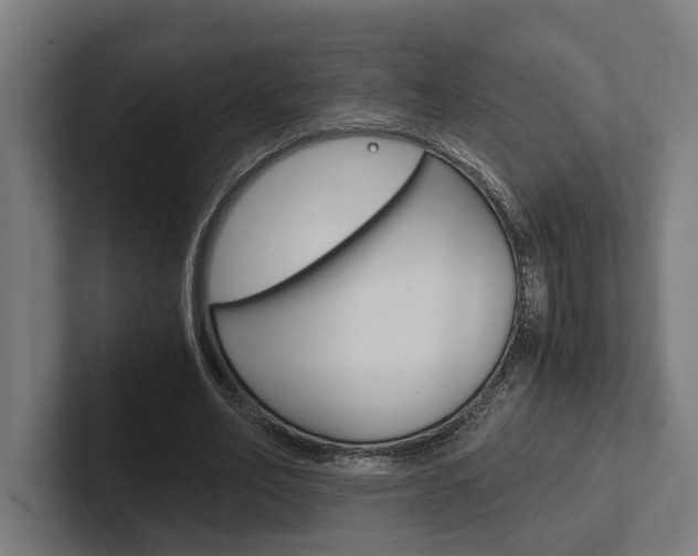 X0000102380582200808010916