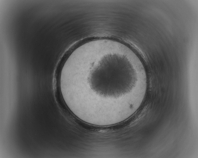 X0000102380584200808010916