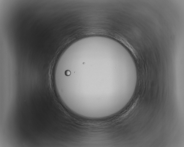 X0000102380585200808010916