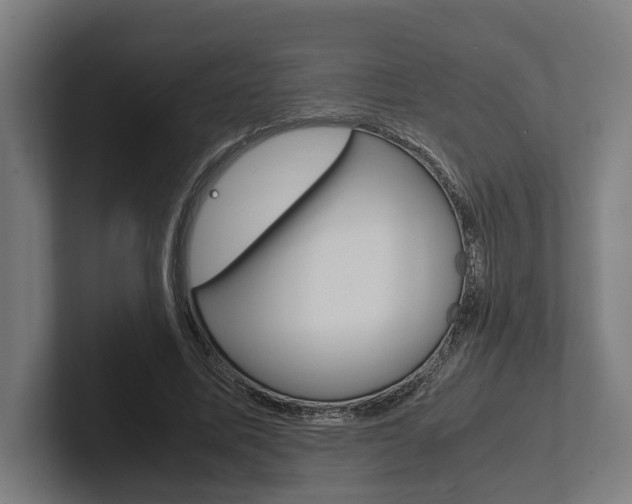 X0000102380587200808010916