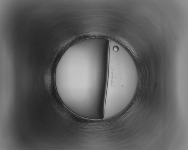 X0000102380588200808010916