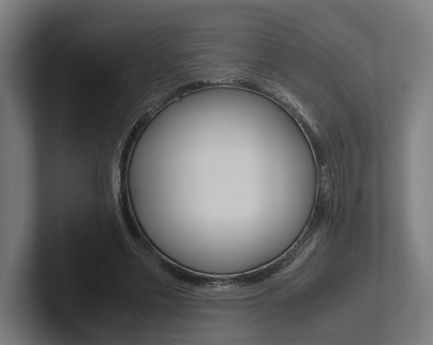 X0000102380589200808010916