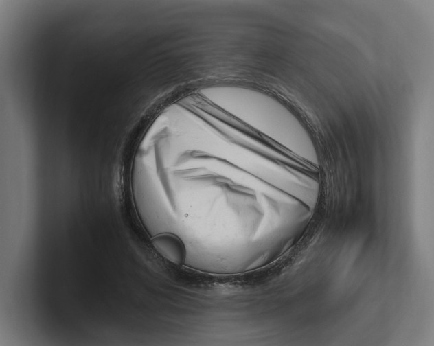 X0000102380592200808010916