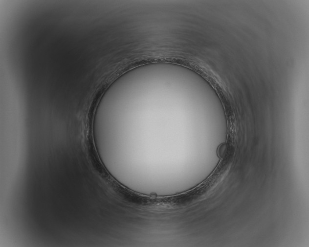 X0000102380593200808010916