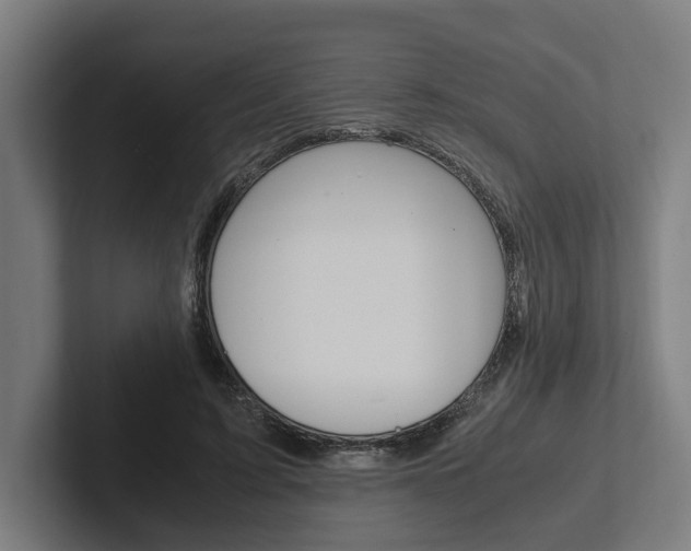 X0000102380595200808010916