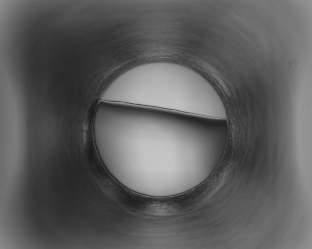 X0000102380596200808010916