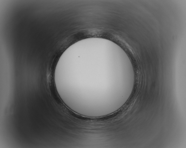 X0000102380597200808010916