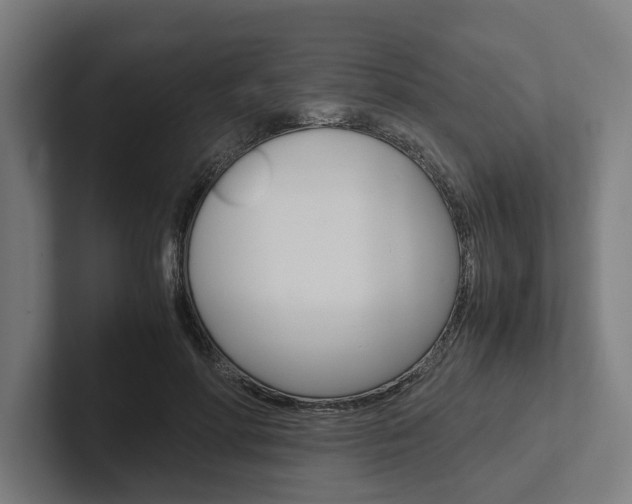 X0000102380598200808010916