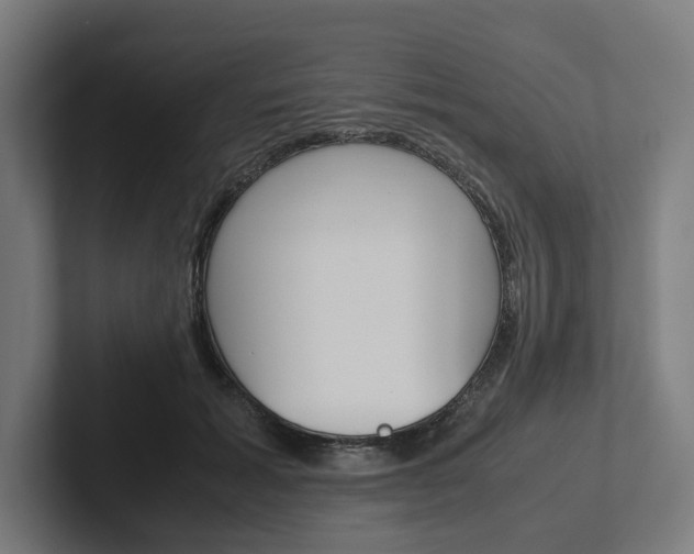 X0000102380605200808010916
