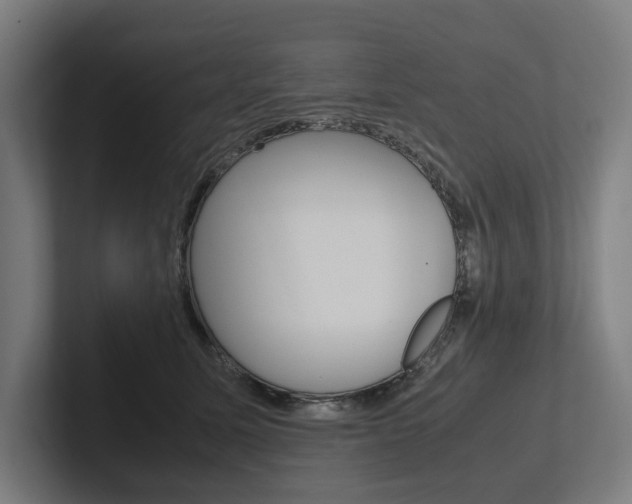 X0000102380611200808010916