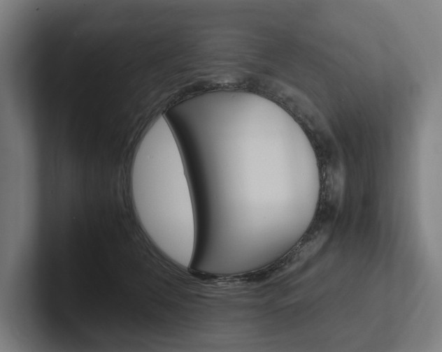 X0000102380612200808010916