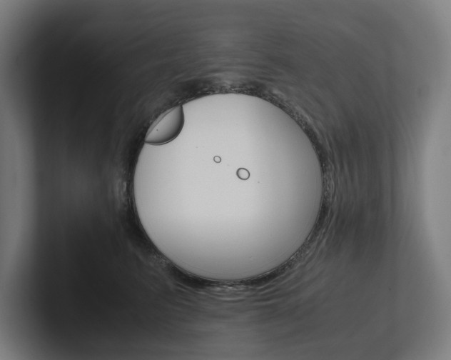 X0000102380615200808010915