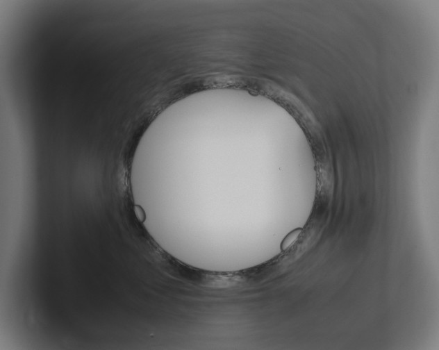 X0000102380621200808010915