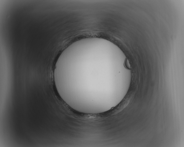 X0000102380624200808010915