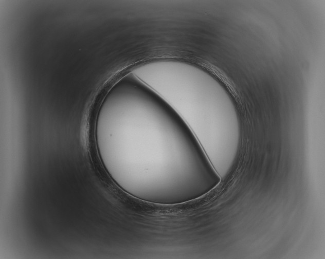 X0000102380627200808010915