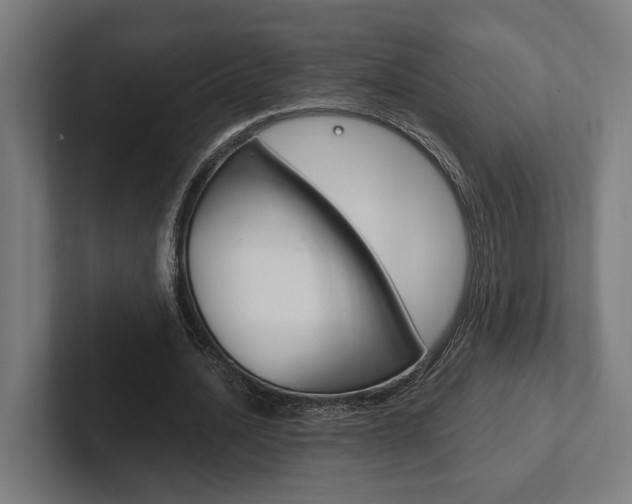 X0000102380628200808010915