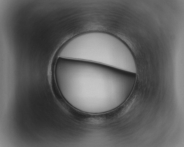 X0000102380630200808010915