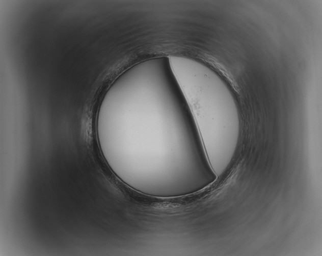 X0000102380633200808010915