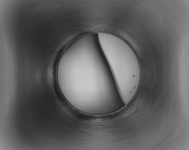 X0000102380634200808010915