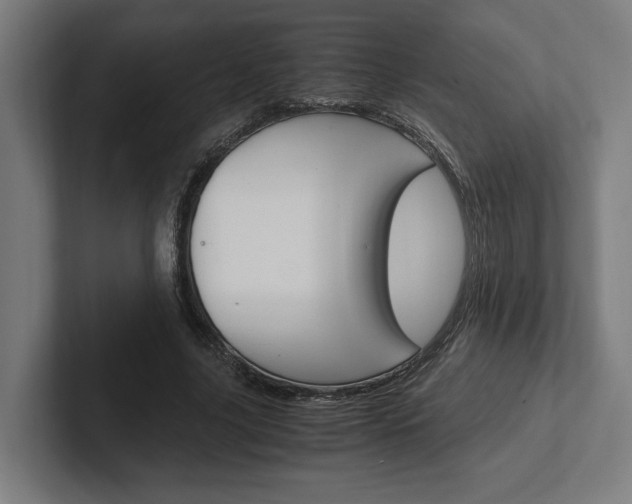 X0000102380635200808010915