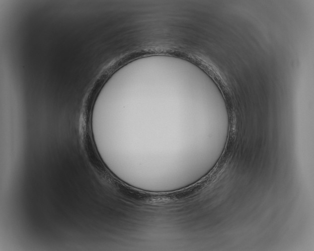 X0000102380636200808010915
