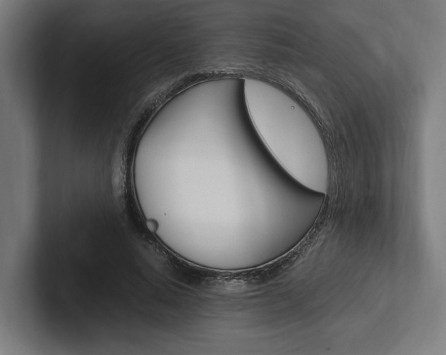 X0000102380640200808010915