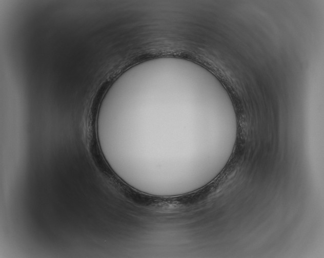 X0000102380642200808010915