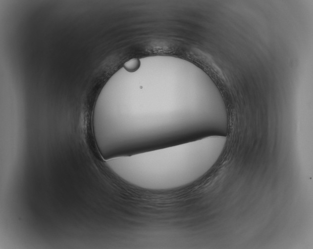 X0000102380645200808010915