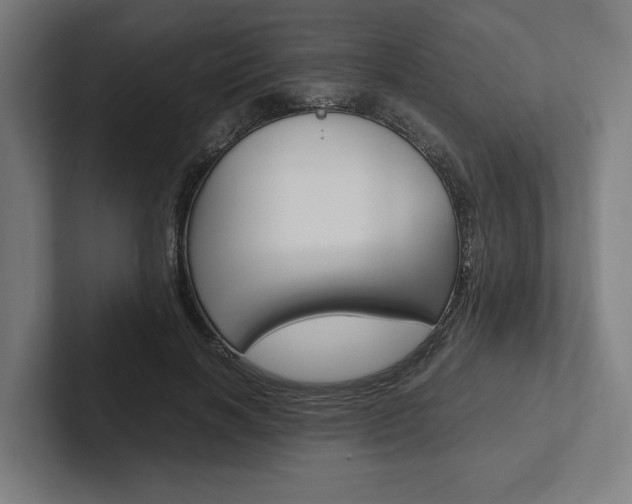 X0000102380646200808010915