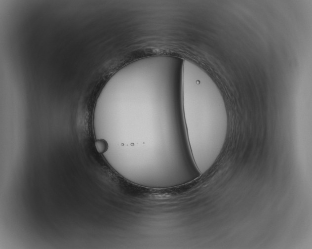 X0000102380650200808010915