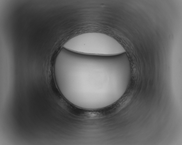 X0000102380654200808010915