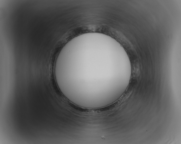 X0000102380656200808010915