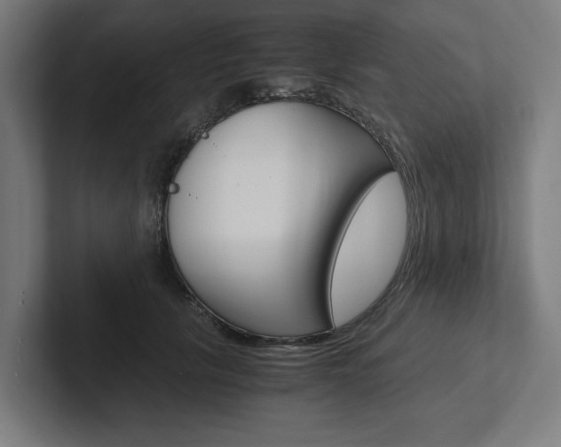 X0000102380657200808010915