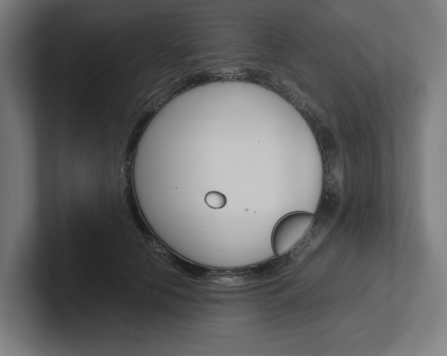 X0000102380658200808010915