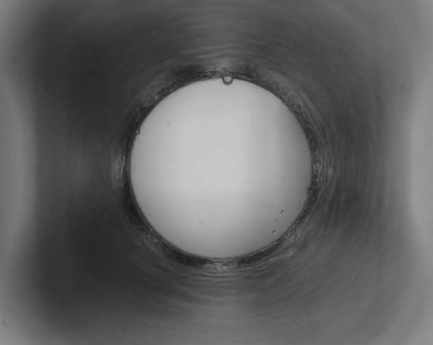 X0000102380660200808010915