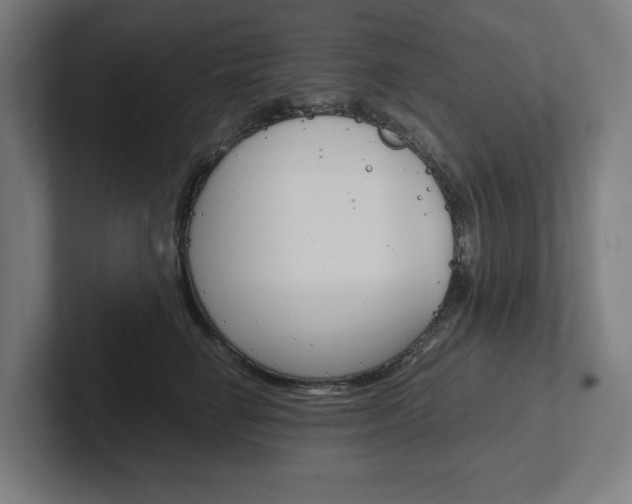 X0000102380662200808010915