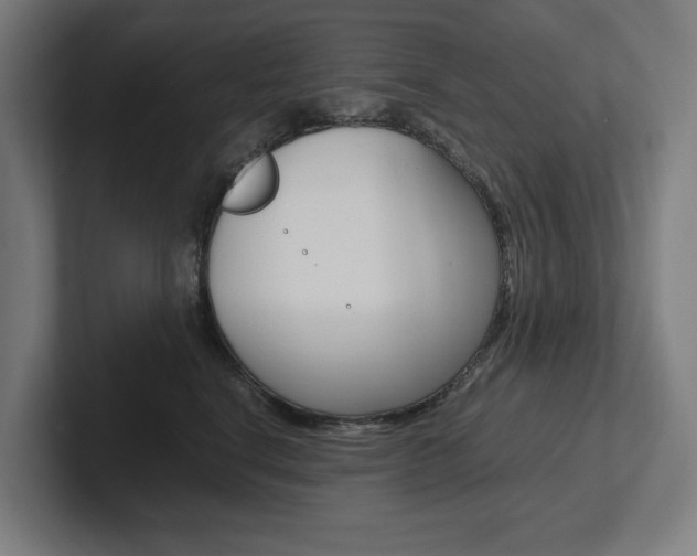 X0000102380664200808010915