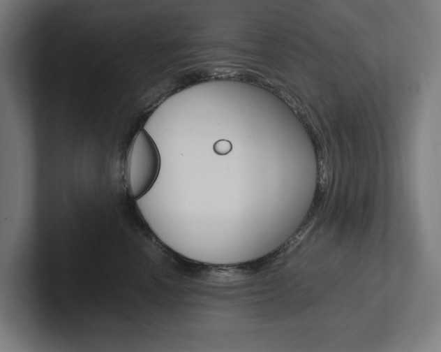 X0000102380666200808010915