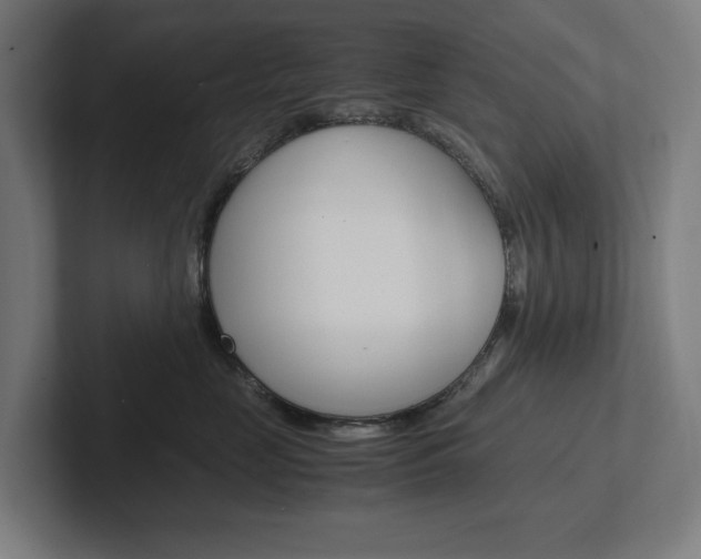 X0000102380669200808010915