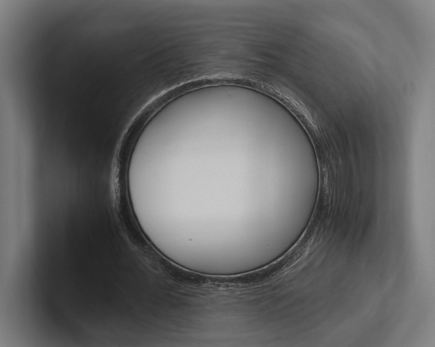 X0000102380676200808010915