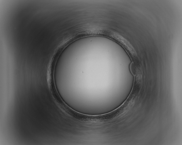 X0000102380677200808010915