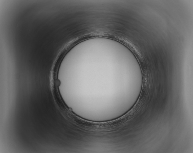 X0000102380678200808010915